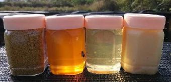 蜂蜜销售、湖北蜂胶、湖南蜂王浆、江西蜂花粉